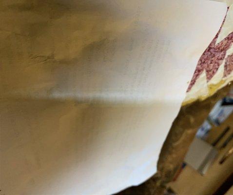 Service Electric CableVision Inc