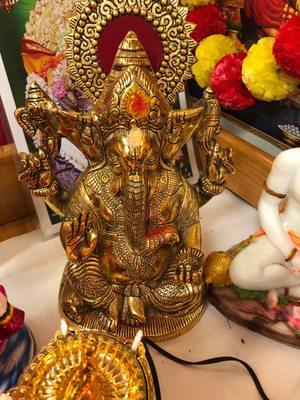 Astrologer and Palm Readings