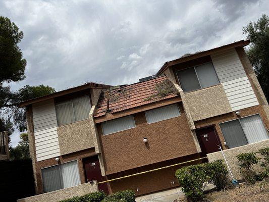 The unit that got impaled.