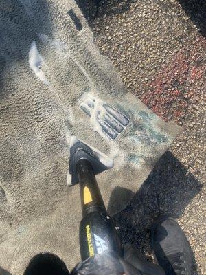 IWillDetail