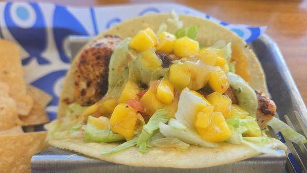 Blackend Mahi Taco
