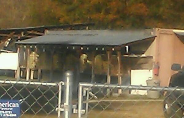 Rye Patch Kennels