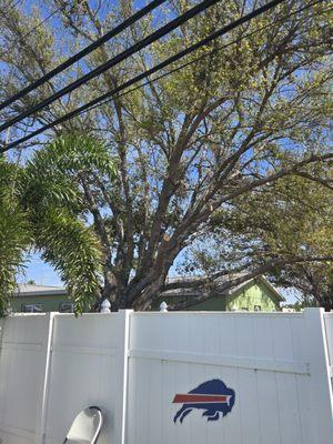 Gulf Coast Property and Lawn Maintenance