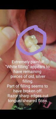 Cranbury Dental Services