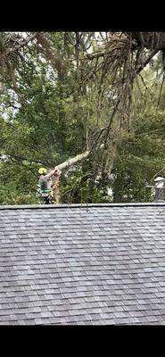 Southtowns Landscaping