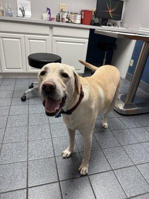 McKeever Dermatology Clinics