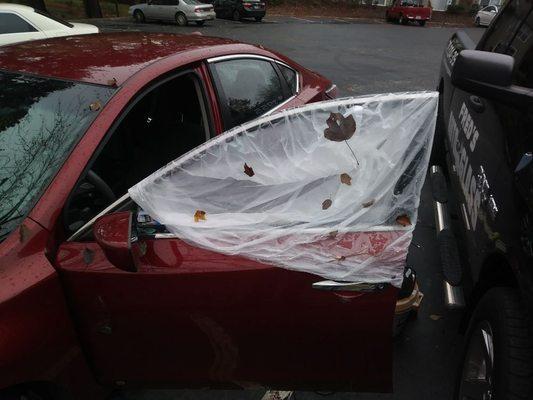 Fred's Auto Glass