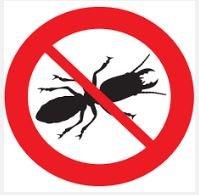 Madison County Termite Services