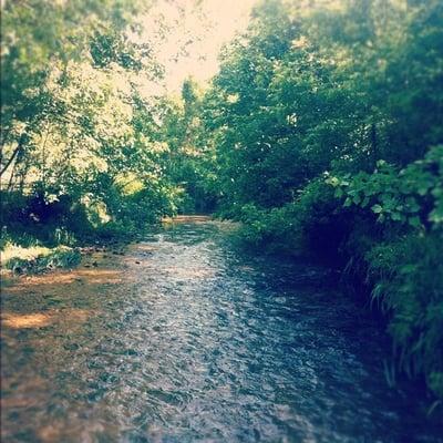 Slaughter pen bike trail Bentonville, AR