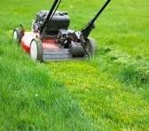 GT And LW Landscaping