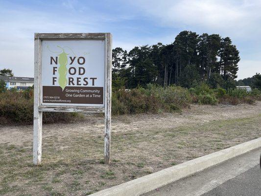 Noyo Food Forest