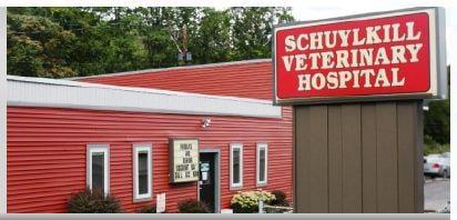 Thornton Sara T Veterinarian