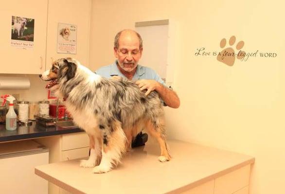 Mendon Village Animal Hospital