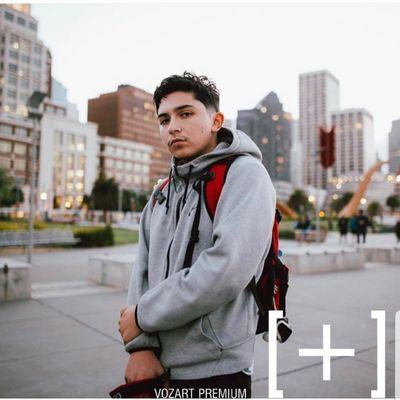 Vozart Premium