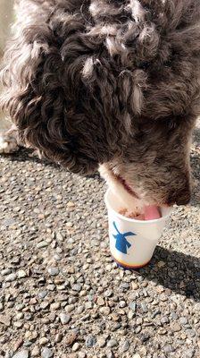Pupuccino