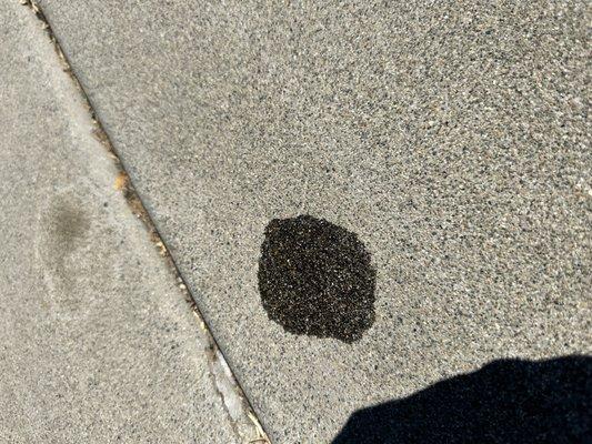 I should've known not to get a Groupon for an oil change. they did my oil 3days ago and it's leaking on my driveway