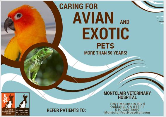 Caring for Avian and Exotic Pets for more than 50 years!