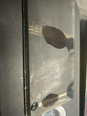 Shane's - The Pawn Shop