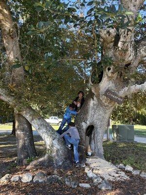 Pine Island Preservation Society