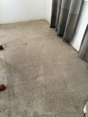 Nice and Neat Cleaning Services