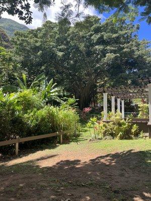 One of the places the Beach Car Rental took us.