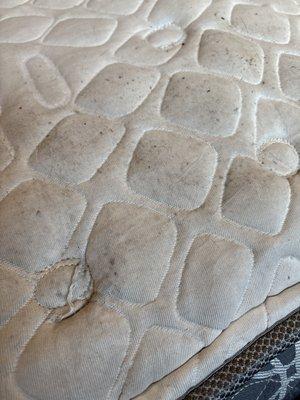 G & M Moving and Storage Corp