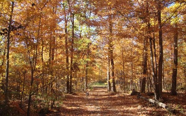 Hatchers Creek Ranch in the fall