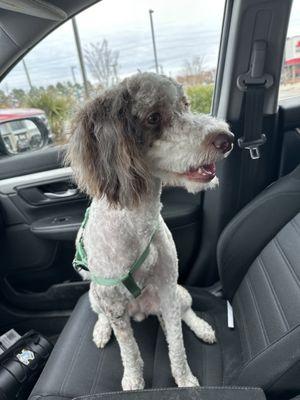 THIS IS WHAT I GOT BACK!!!