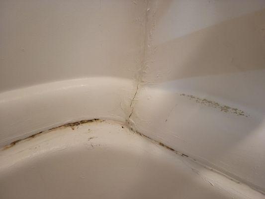 Mold in bath bath tub, then they just paint over it and say it's not mold.