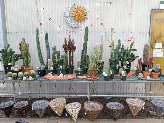 River Street Flowerland