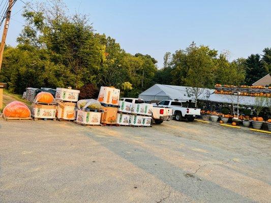 Pots & plants is ready for October