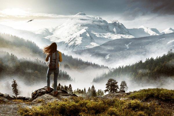 Element Risk Management - Harrisburg