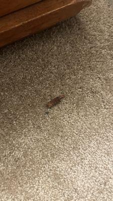 Wyndover Apartment Homes