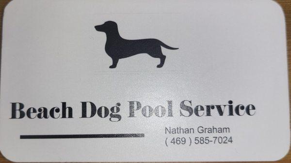 Beach Dog Pool Service