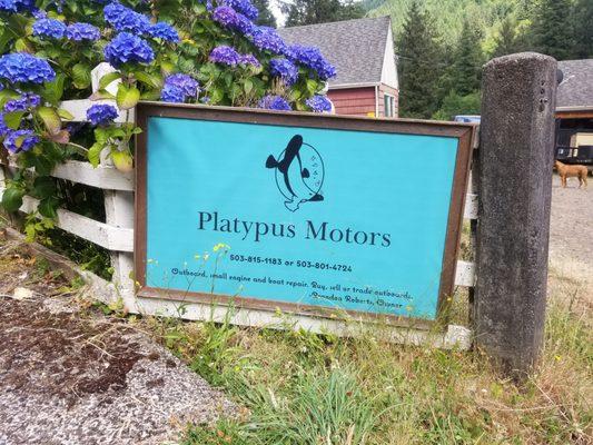 Platypus Motors