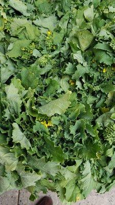 B & B Produce