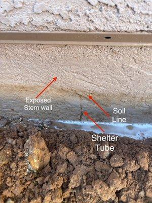 Example of how subterranean termites don't expose themselves till you trench under the soil.