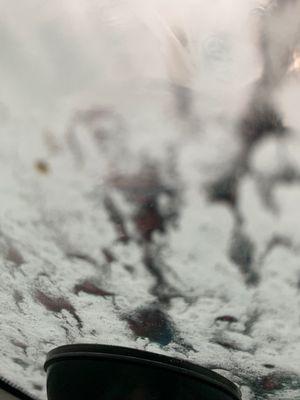 Excellent service free microfiber towel every time Bonus free air freshener !!