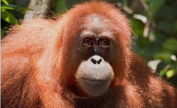 Ontiveros State Pre-School