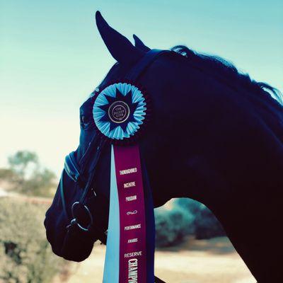 Sorum Veterinary Services