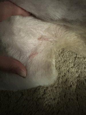 "nicks" in her armpit