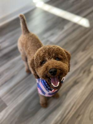 Fresh cut for 4th of July