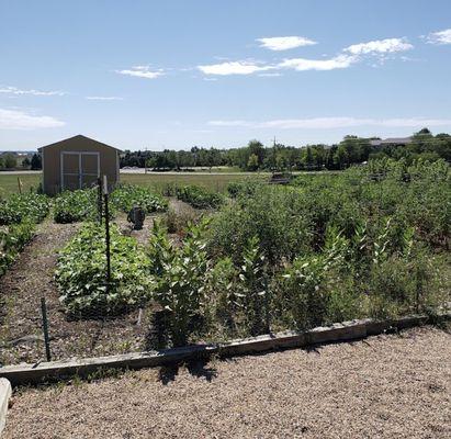 Heart of the Rockies Christian Church