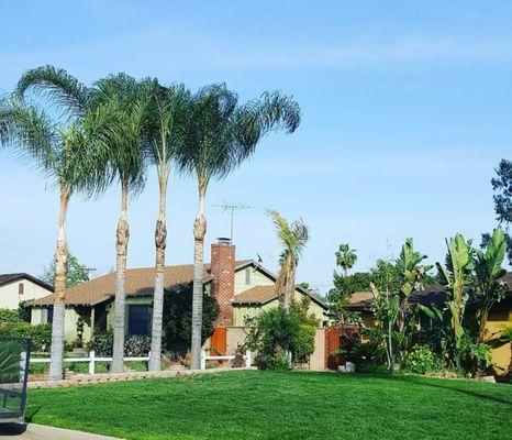 ONESTOP Landscape & Masonry