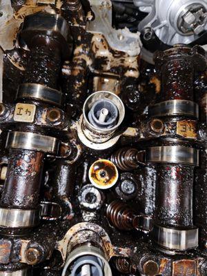 The engine sluggish in oil