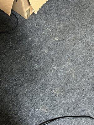 Presidential Cleaning