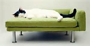 Professional Carpet Care California