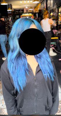 A Shampoolio Experience