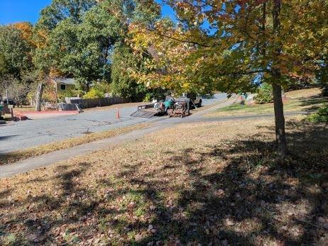 Salomão Landscaping