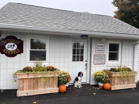 Bethway Kennels